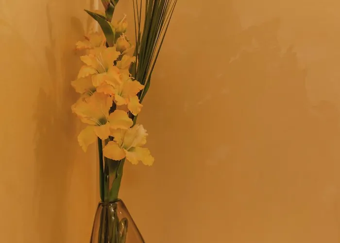 לינה וארוחת בוקר Bella & Stella בוג'ה